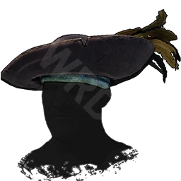 Flibustier's Hat